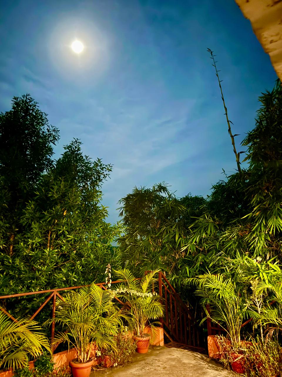 Sustainability at Aranya