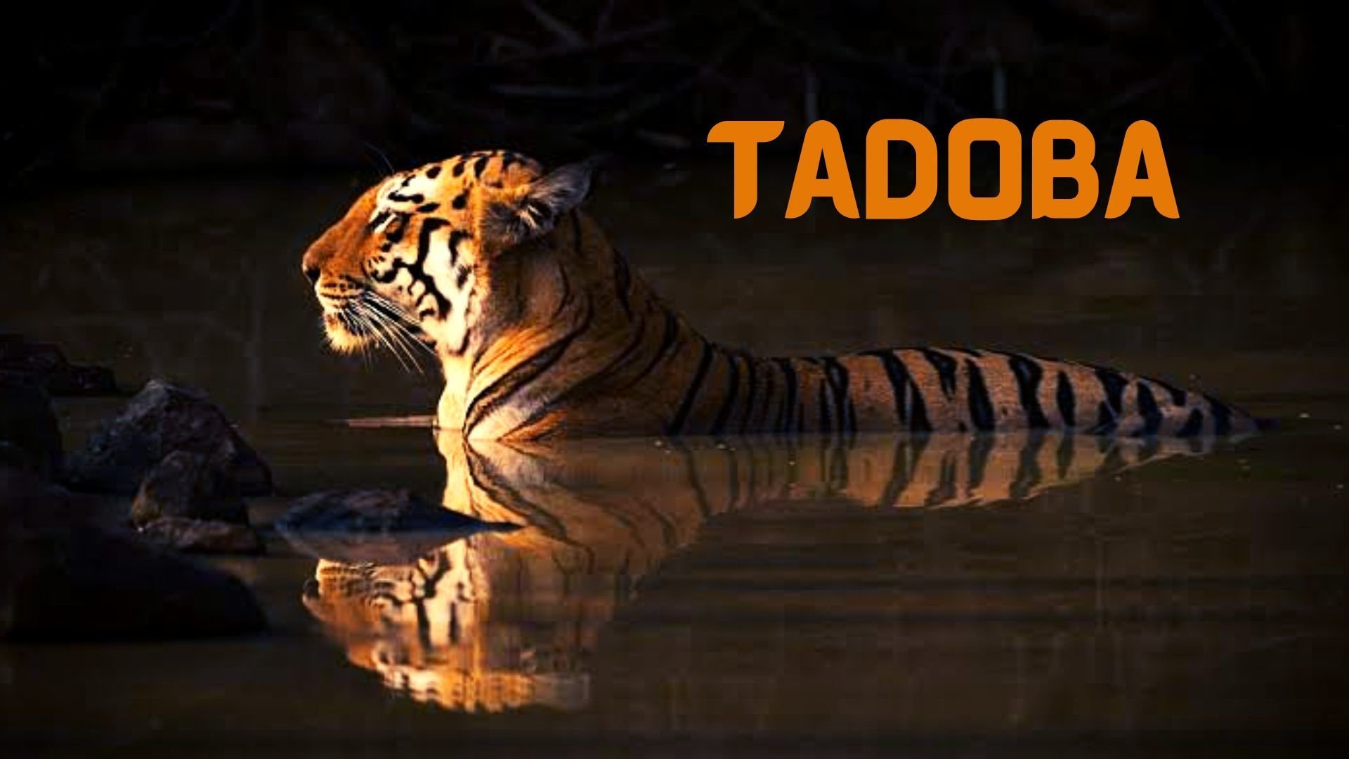 Aranya Nature Stay Founding